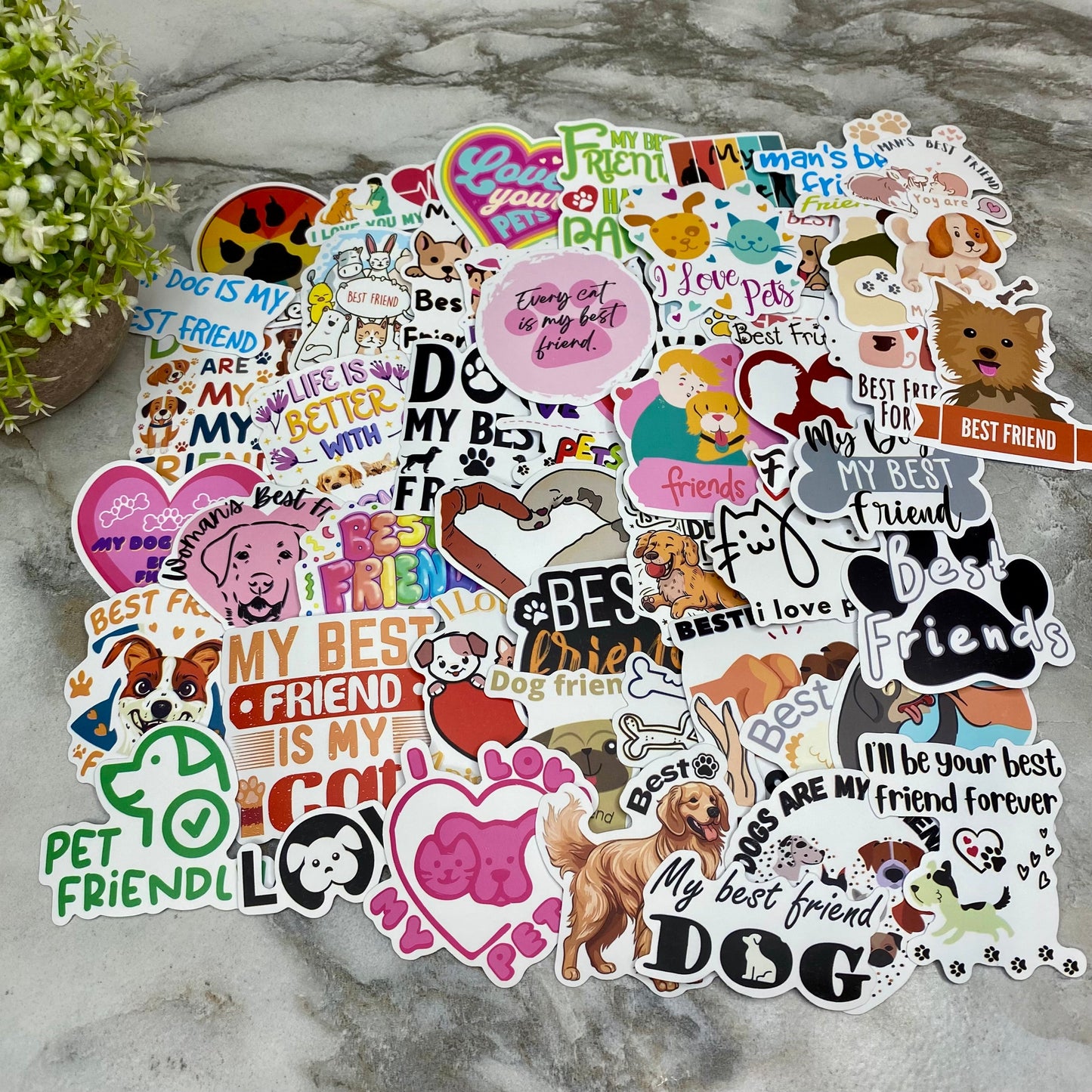 Stickers - Cats & Dogs